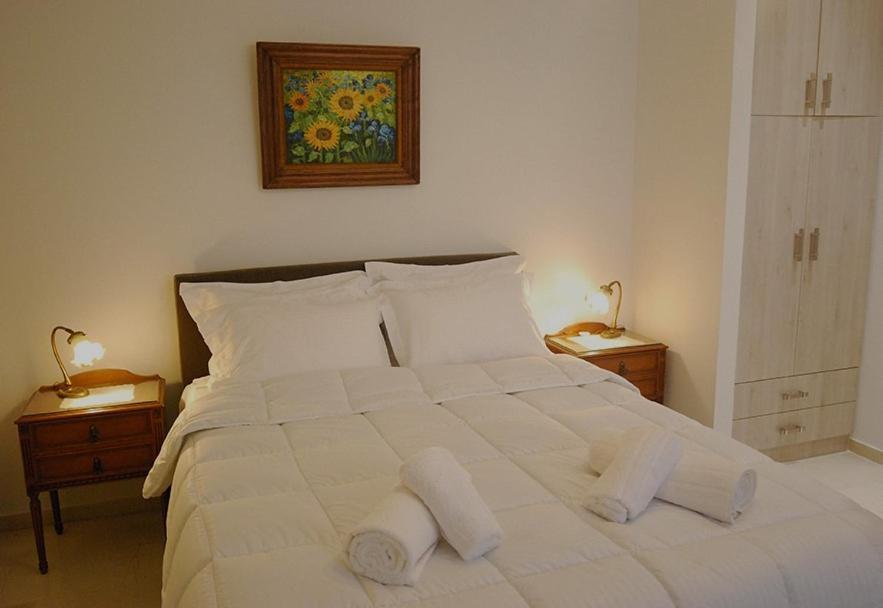 Heraklion Center Boutique 3 Bedroom Apartment Penelope المظهر الخارجي الصورة